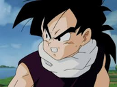 Son Gohan 5.png