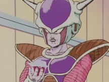 Wino.jpg