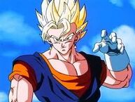 Vegetto SSJ.jpg