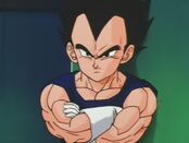 Vegeta (TB25).jpg
