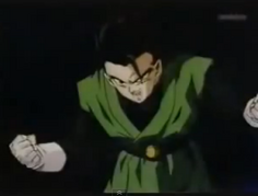 Gohan vs hildegarn.png