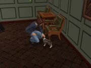 Snapshot fc023bae bc89f05b