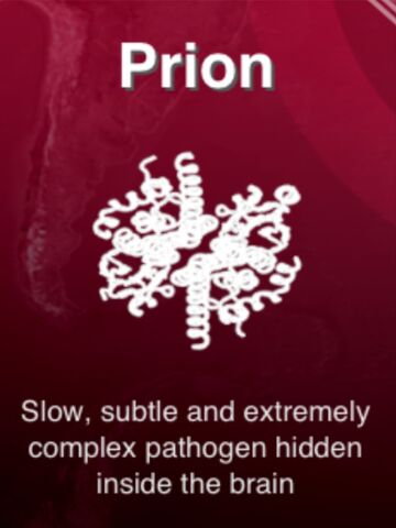 File:Prion.jpeg