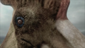 Thumbnail for version as of 13:10, April 12, 2013