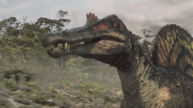File:Spino-1.1-1.jpg
