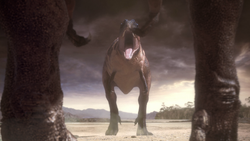 1x1 CarcharodontosaurusDuel