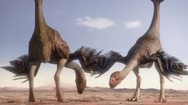 File:FeatheredDragons.png