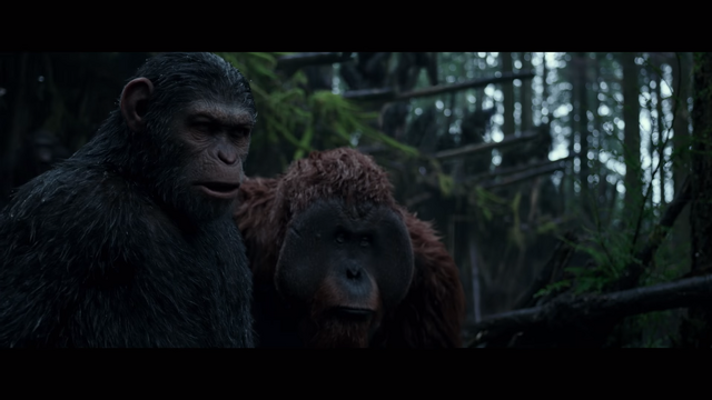 File:WPOTA Caesar & Maurice.png