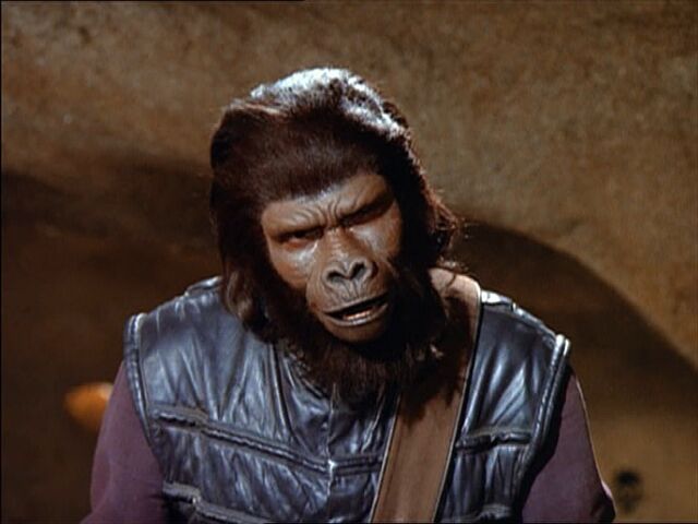 File:Gorilla aide.jpg