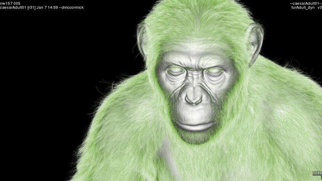 File:CG Chimp 3.jpg