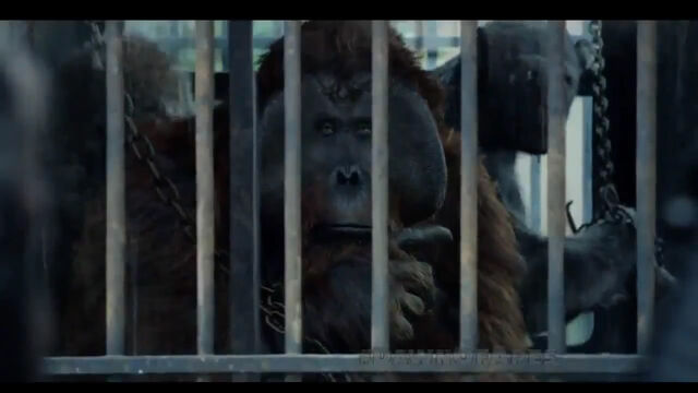 File:Maurice in cage.jpg