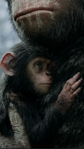 File:Caesar's infant.jpeg