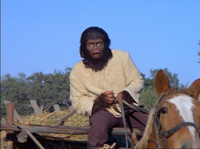 File:Peasant gorilla.jpg