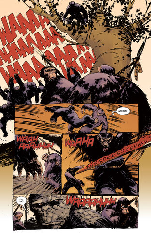 File:BOOM DawnPOTA 003 PRESS-7.jpg