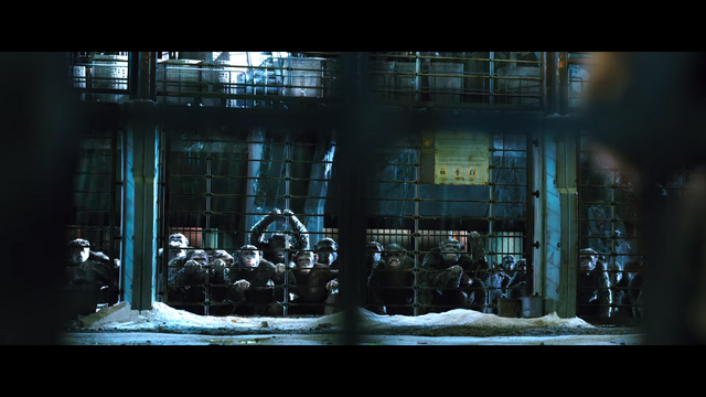 File:WPOTA Apes in cages.png