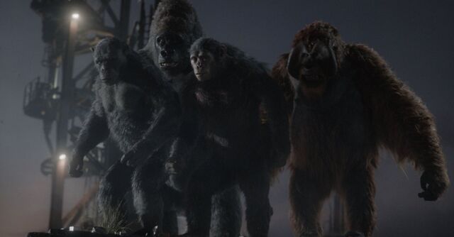 File:Blue-Eyes with Rocket, Stoned & Maurice.jpg