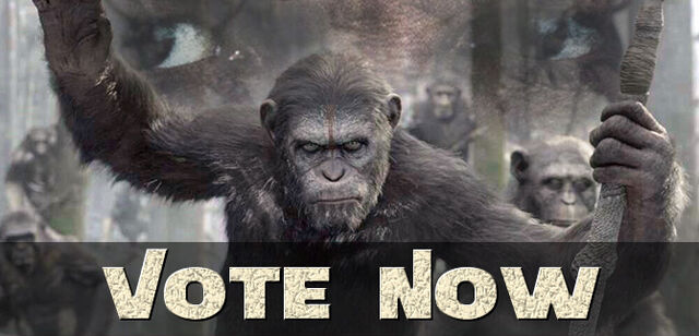 File:Vote now.jpg