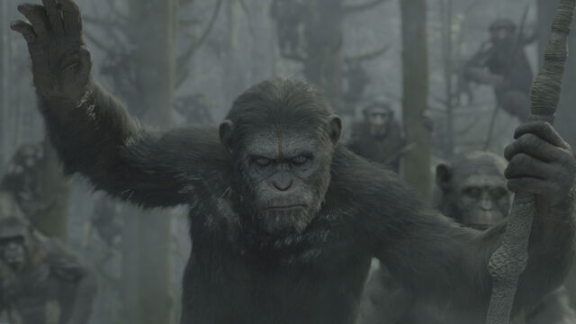File:Dawn-of-the-planet-of-the-apes-51ebf72075c1a.jpg