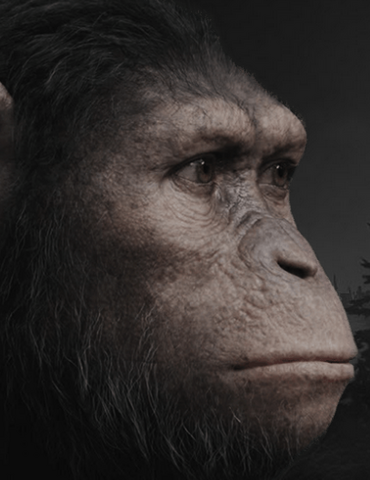 File:Caesar2.png