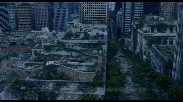 File:SF Ruins.jpg