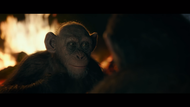 File:WPOTA Bad Ape 5.png