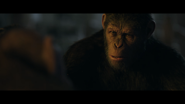 File:WPOTA Caesar 5.png