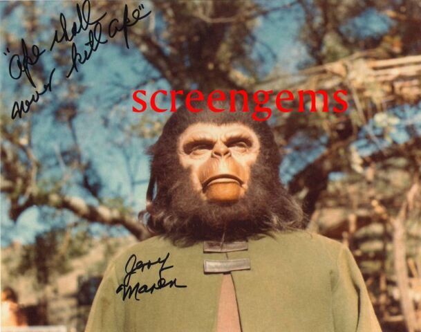 File:MarenChimp2.jpg