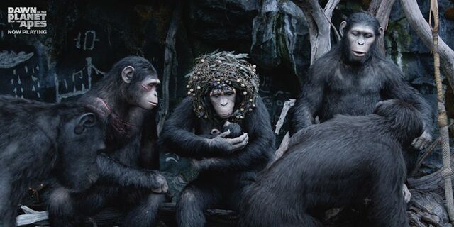 File:Cornelia celebrates the birth of her new baby with her family.jpg