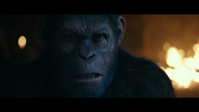 File:WPOTA Caesar 2.png