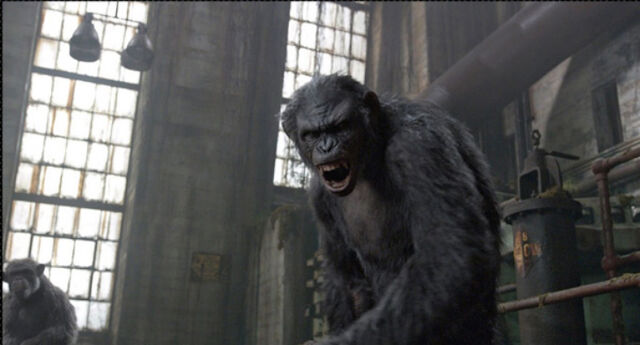 File:Dawn-of-the-planet-of-the-apes-ew-2.jpg