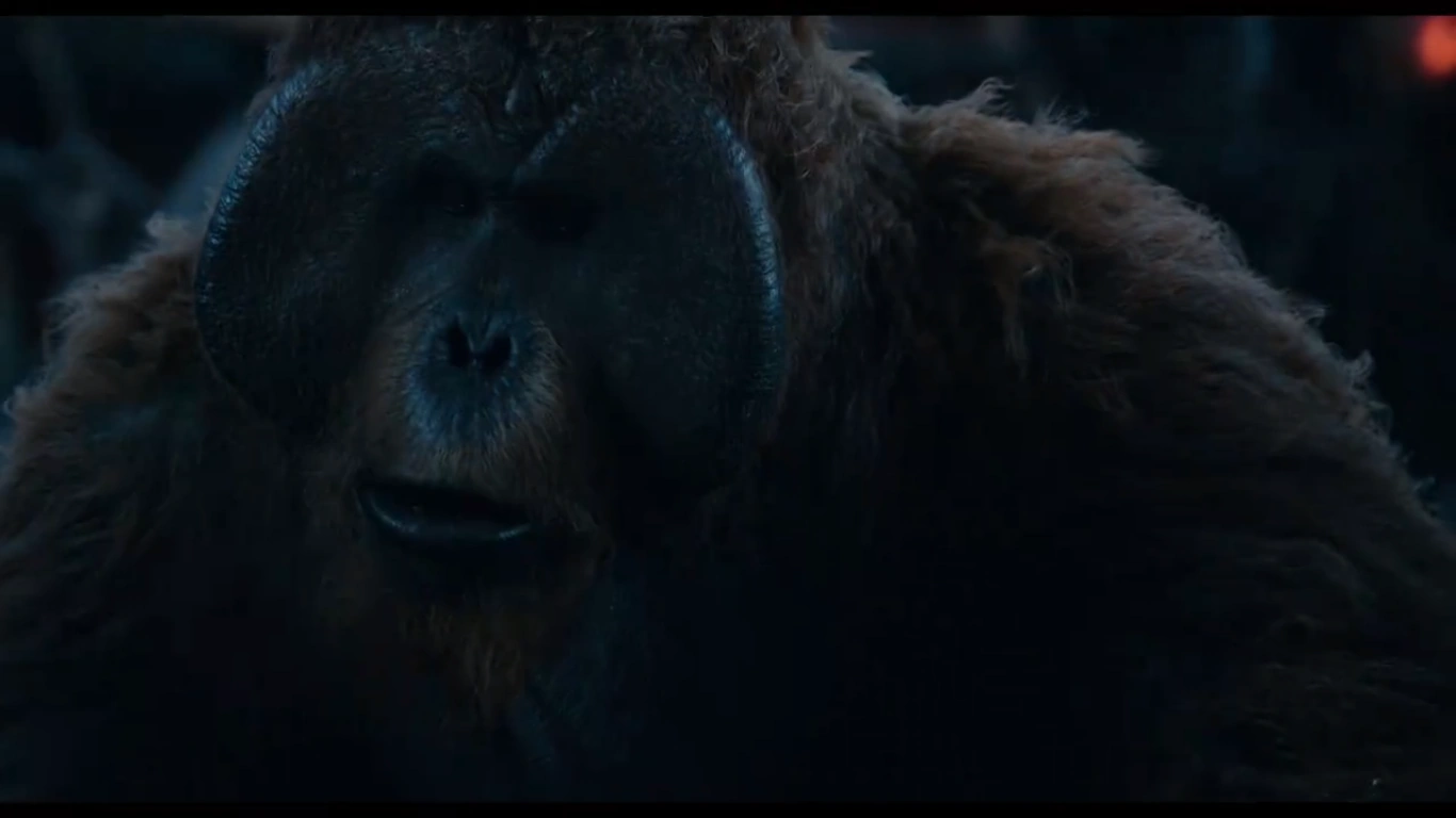 Image Maurice looking at Alex's sketches.png of the Apes Wiki FANDOM powered by Wikia Image Maurice looking at Alex's sketches.png of the Apes Wiki FANDOM powered by Wikia
