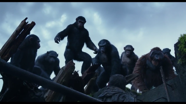 File:Apes 2.png