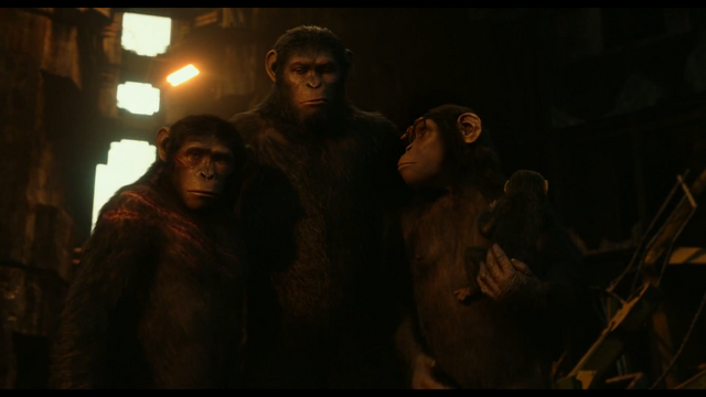 File:Family..png