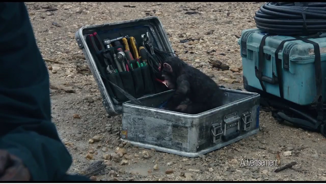 File:Infant in supply box.png