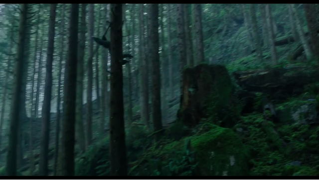 File:Koba attacks bear1.png