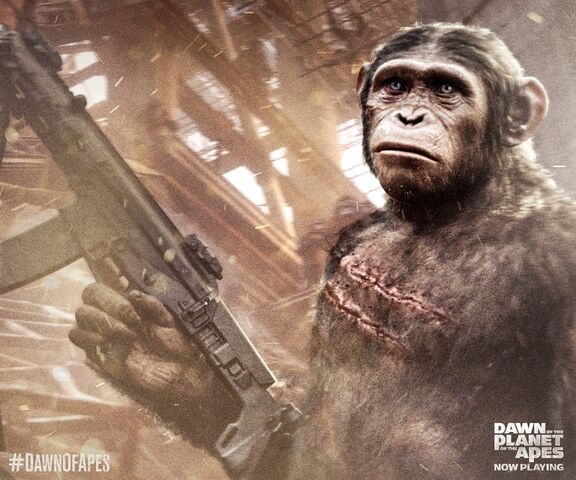 File:Blue Eyes with gun.jpeg