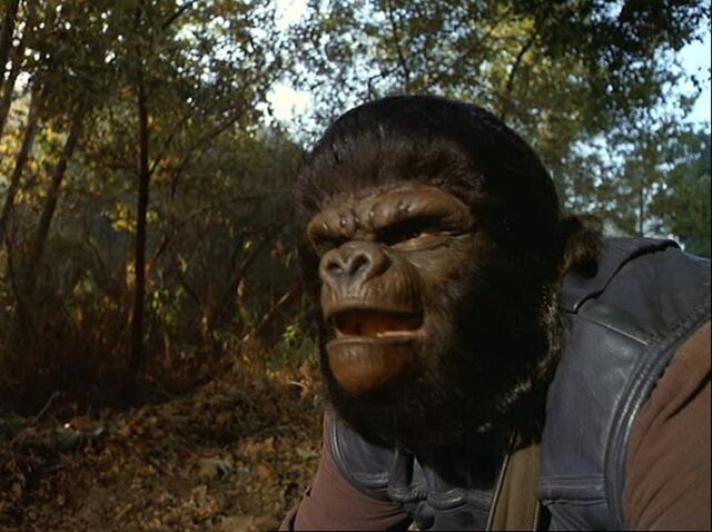 File:Gorilla guard.jpg
