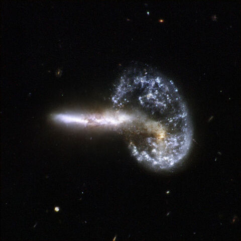 File:Mayall's Object.jpg