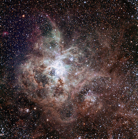 File:Tarantula Nebula.jpg