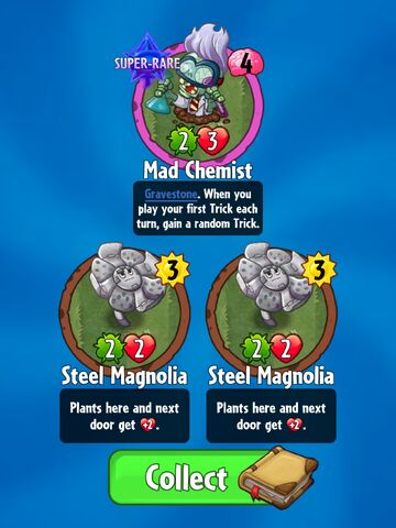 File:Double Magnolia.jpeg