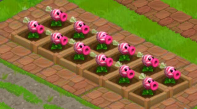File:Sweet Peas.png.jpg