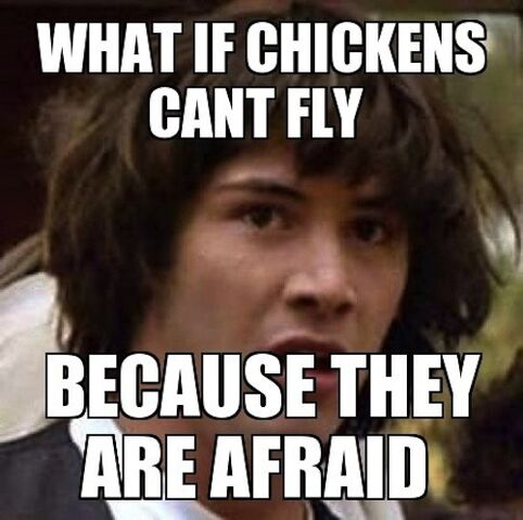 File:Conspiracy-Keanu-Memes-9.jpg