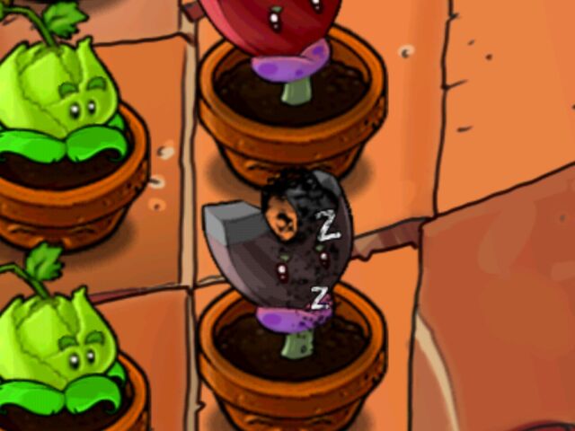 File:Dissolving coffeebean.jpg