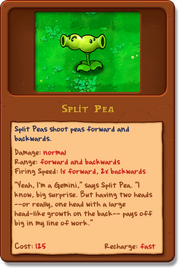 New Splitpea almanac