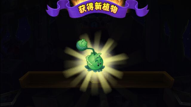 File:Cabbage-pultObtained.jpg
