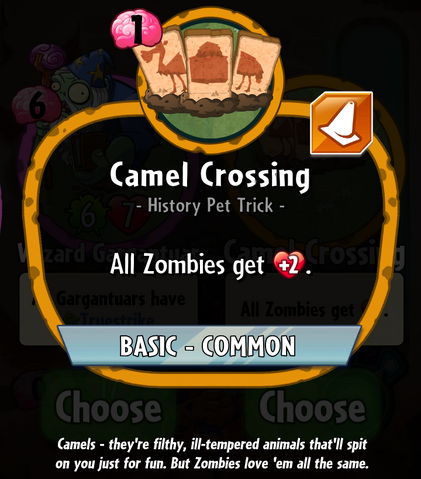 File:CamelCrossingHDescription.png