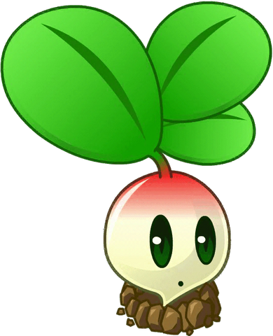 File:Radish close up.png
