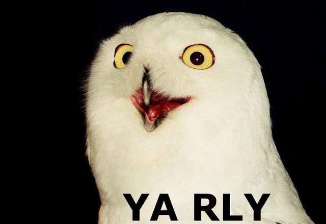 File:Yarly.jpeg