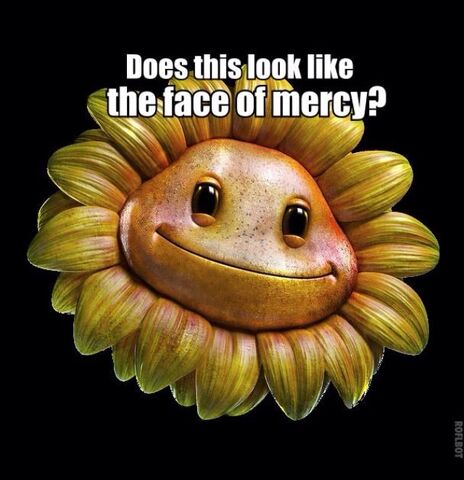 File:Faceofmercy.jpg