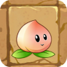 Heavenly Peach2